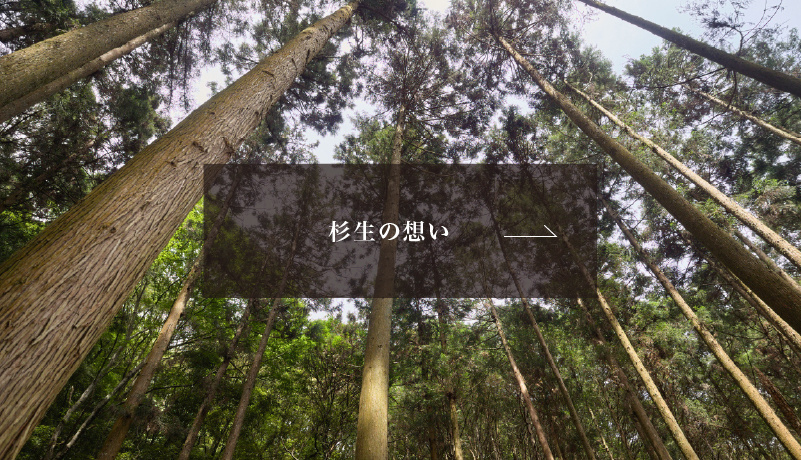 バナー_杉生の想い