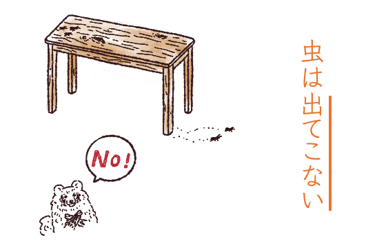 虫が後から出てきそうでキモチ悪い