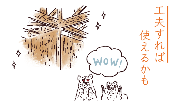 虫食い痕や変色など外観がよくない