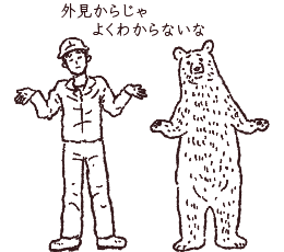 イラスト 枝虫材どうやってできる?2