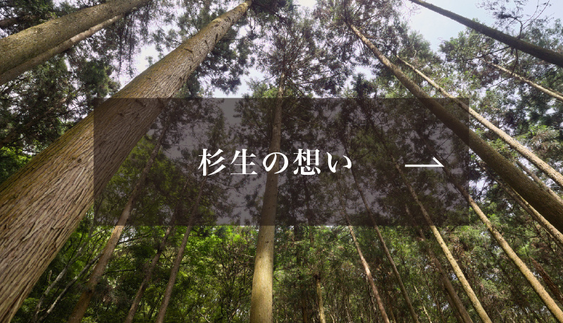 バナー 杉生の想い