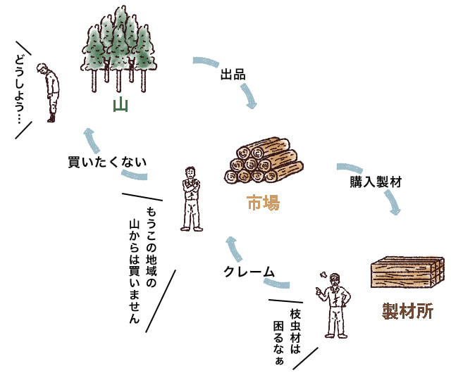 枝虫材が出るとどうなる?
