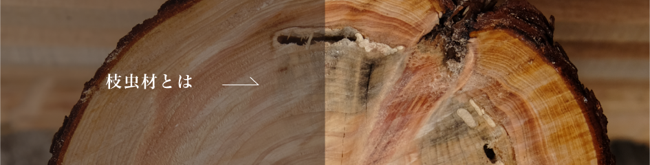 バナー 枝虫材とは