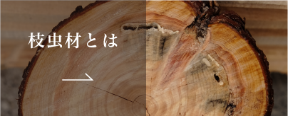 バナー 枝虫材とは