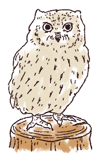新城市鳥 ブッポウソウ