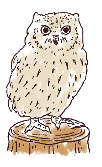 新城市鳥 ブッポウソウ
