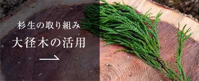 バナー 大径木の活用