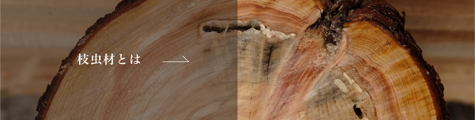 バナー　枝虫材とは